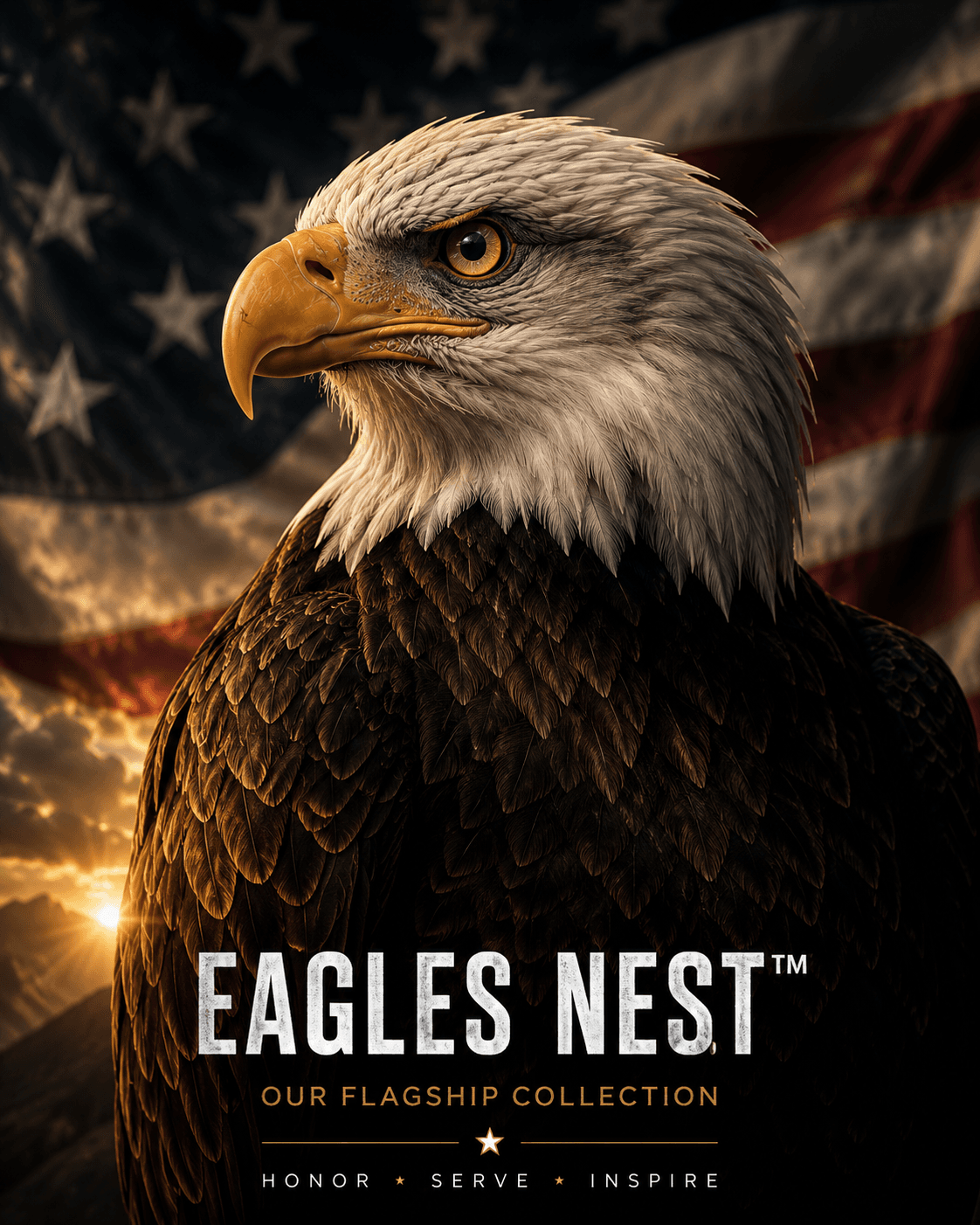 Eagles Nest collection artwork: a bald eagle in profile against a sunlit American flag